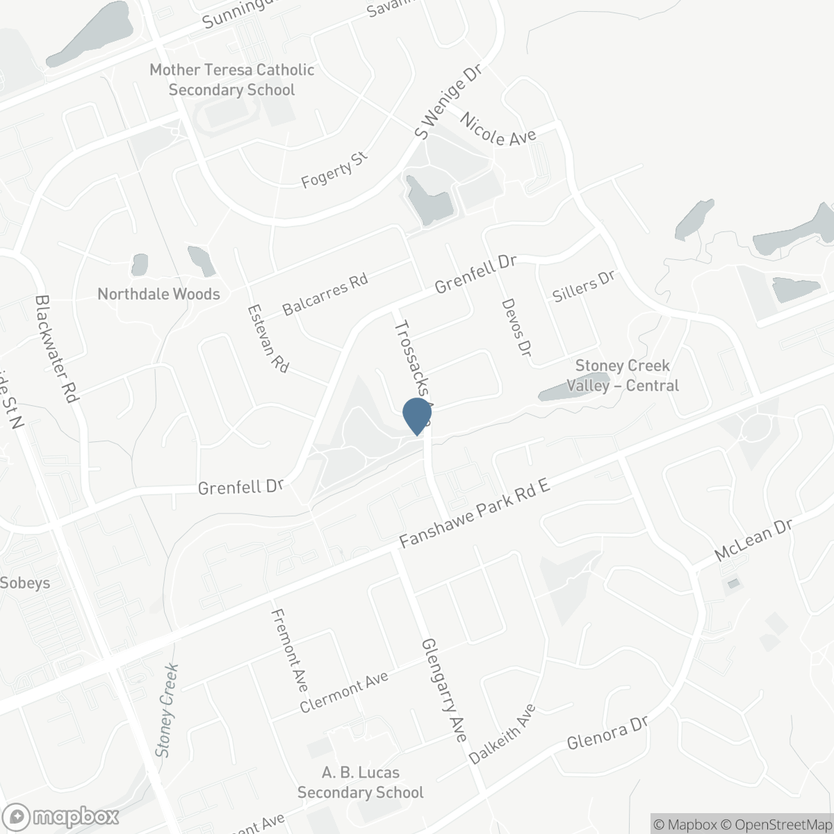 93 MCTAGGART COURT, London, Ontario N5X 3L9